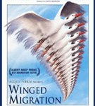Winged Migration Poster